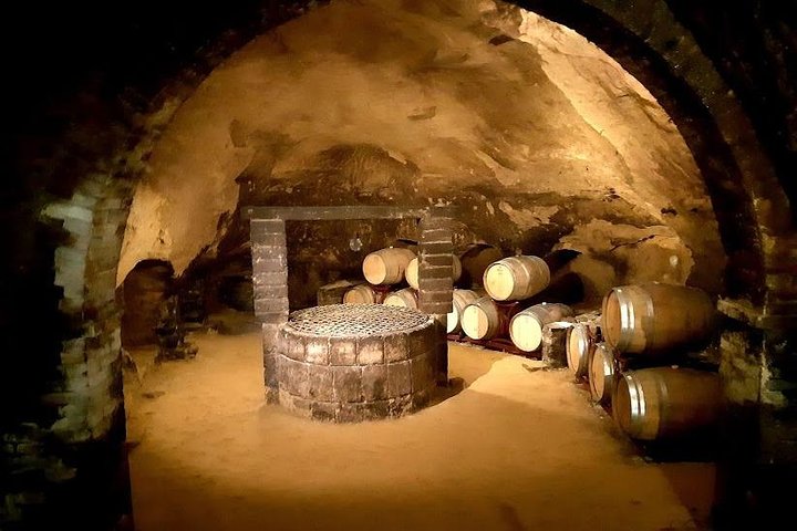 Tour privato del vino in Toscana con visita a Montepulciano, Pienza e Montalcino, foto 12 | wizardtrip