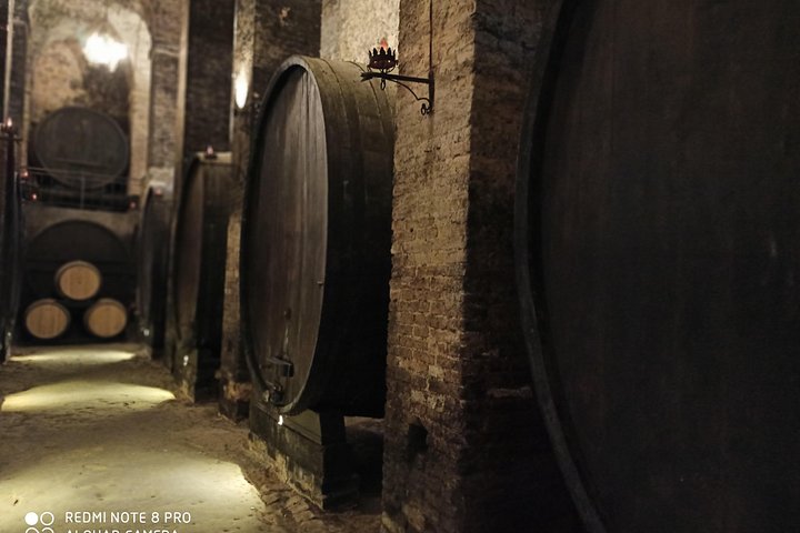 Tour privato del vino in Toscana con visita a Montepulciano, Pienza e Montalcino, foto 13 | wizardtrip