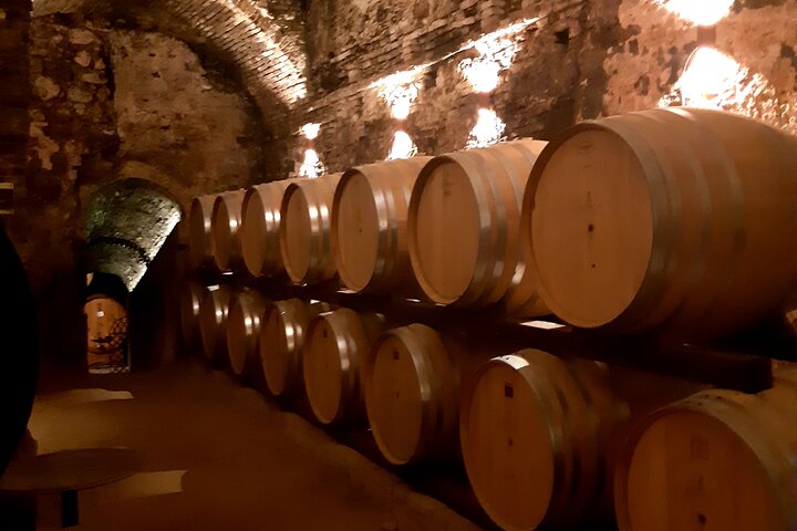 Tour privato del vino in Toscana con visita a Montepulciano, Pienza e Montalcino, foto 15 | wizardtrip