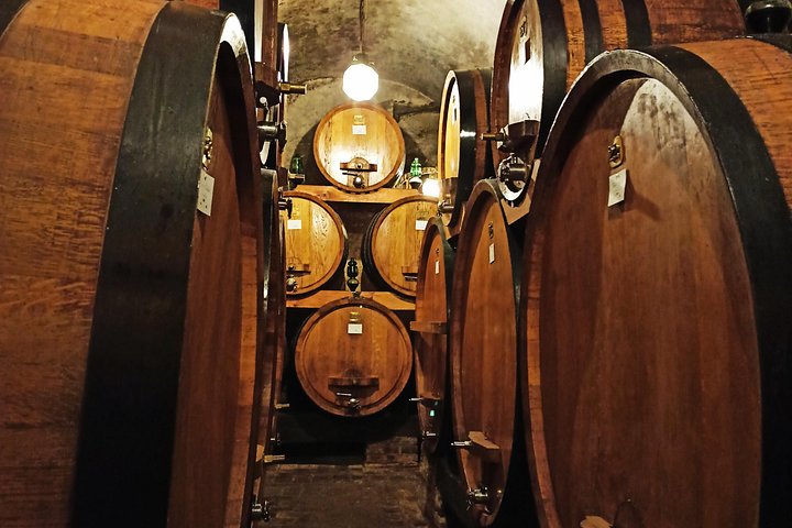 Tour privato del vino in Toscana con visita a Montepulciano, Pienza e Montalcino, foto 16 | wizardtrip