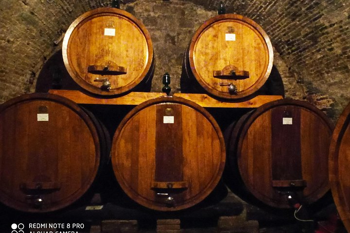 Tour privato del vino in Toscana con visita a Montepulciano, Pienza e Montalcino, foto 20 | wizardtrip
