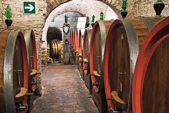 Tour privato del vino in Toscana con visita a Montepulciano, Pienza e Montalcino, foto 21 | wizardtrip