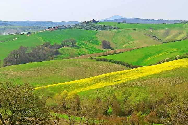 Tour privato del vino in Toscana con visita a Montepulciano, Pienza e Montalcino, foto 32 | wizardtrip