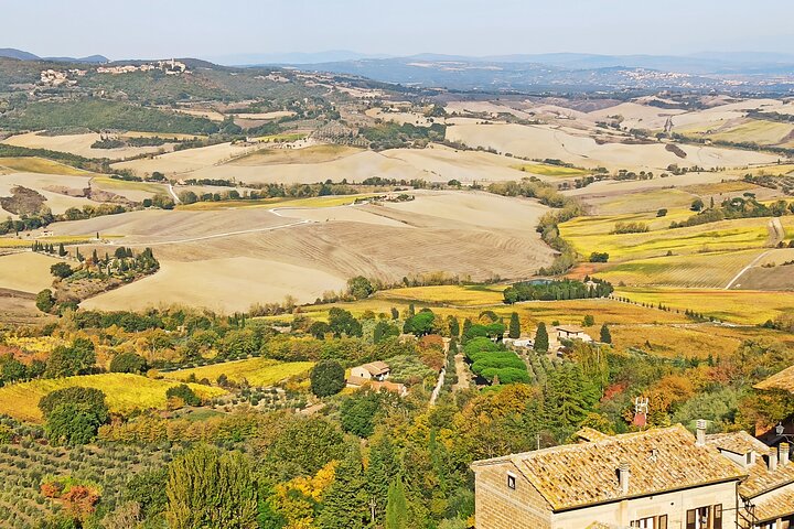 Tour privato del vino in Toscana con visita a Montepulciano, Pienza e Montalcino, foto 37 | wizardtrip