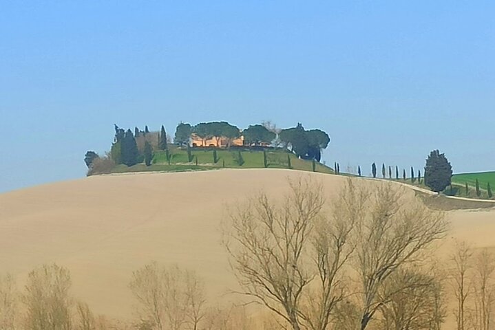 Tour privato del vino in Toscana con visita a Montepulciano, Pienza e Montalcino, foto 41 | wizardtrip