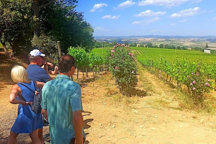 Tour privato del vino in Toscana con visita a Montepulciano, Pienza e Montalcino, foto 43 | wizardtrip