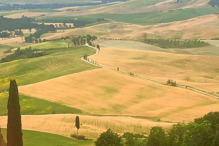 Tour privato del vino in Toscana con visita a Montepulciano, Pienza e Montalcino, foto 45 | wizardtrip