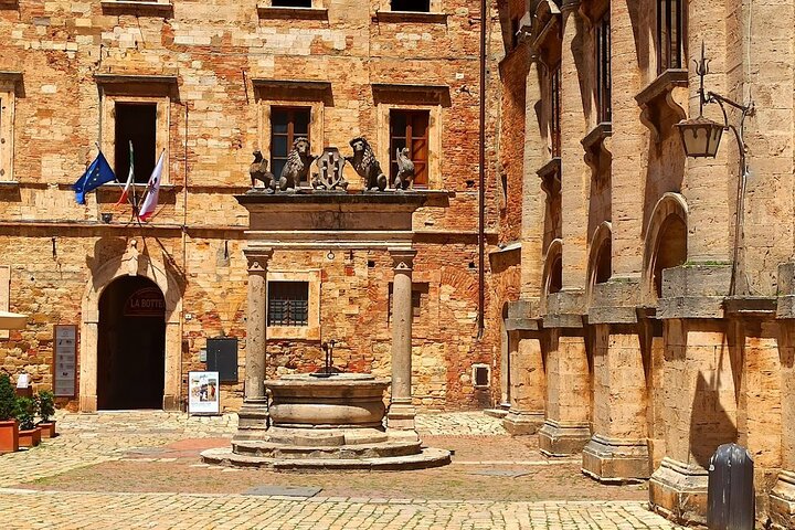 Tour privato del vino in Toscana con visita a Montepulciano, Pienza e Montalcino, foto 46 | wizardtrip