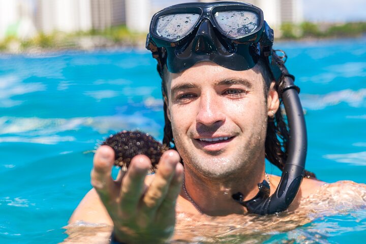 Katamaransejlads og snorkling eventyr i Waikiki, Oahu, Hawaii, foto 9 | wizardtrip
