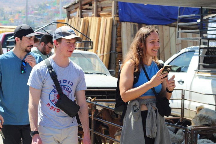 Oaxaca markt food tour met lokale gastronomie en culturele onderdompeling, foto 8 | wizardtrip