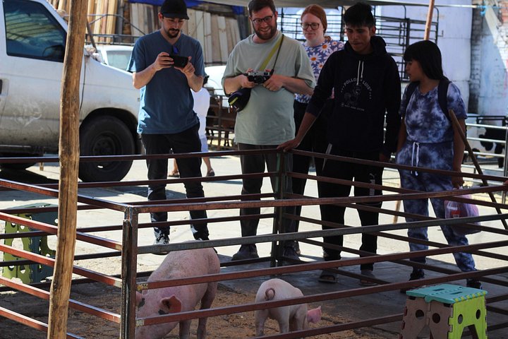 Oaxaca markt food tour met lokale gastronomie en culturele onderdompeling, foto 9 | wizardtrip
