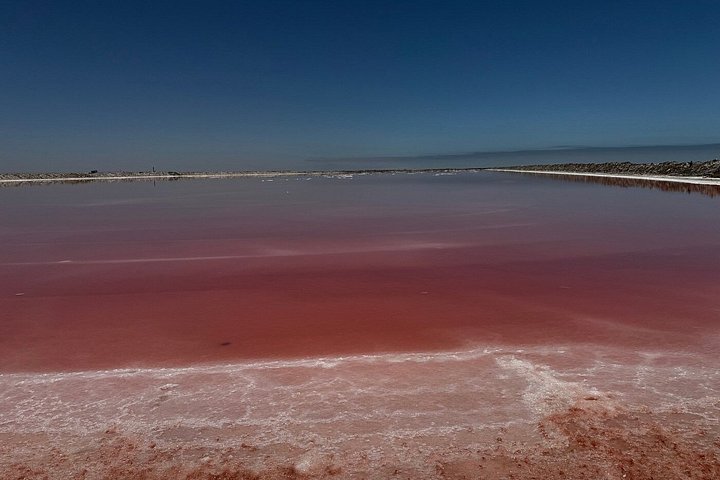 Tour de aventura a Sandwich Harbour, Namibia, con focas, dunas y aves, foto 8 | wizardtrip