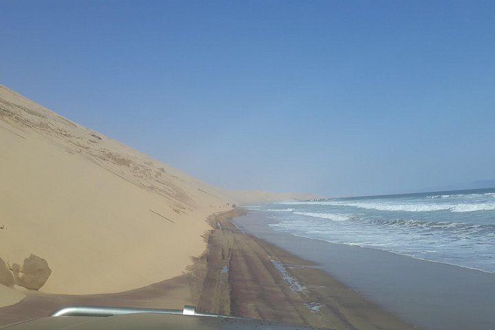 Tour de aventura a Sandwich Harbour, Namibia, con focas, dunas y aves, foto 13 | wizardtrip