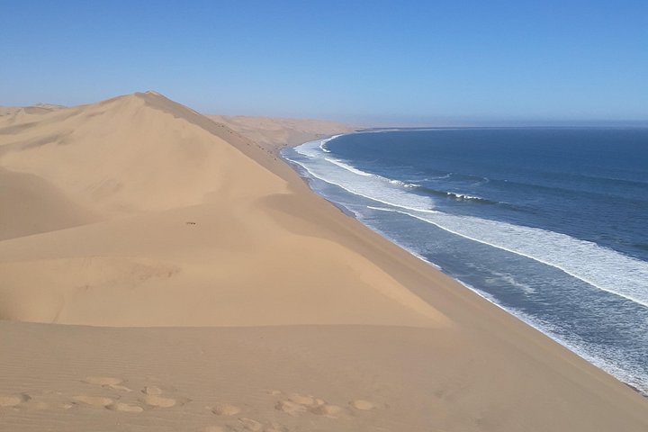Tour de aventura a Sandwich Harbour, Namibia, con focas, dunas y aves, foto 15 | wizardtrip