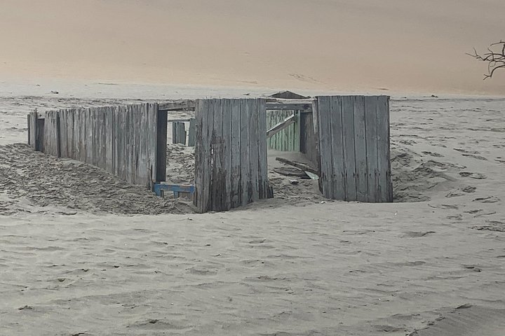 Tour de aventura a Sandwich Harbour, Namibia, con focas, dunas y aves, foto 16 | wizardtrip
