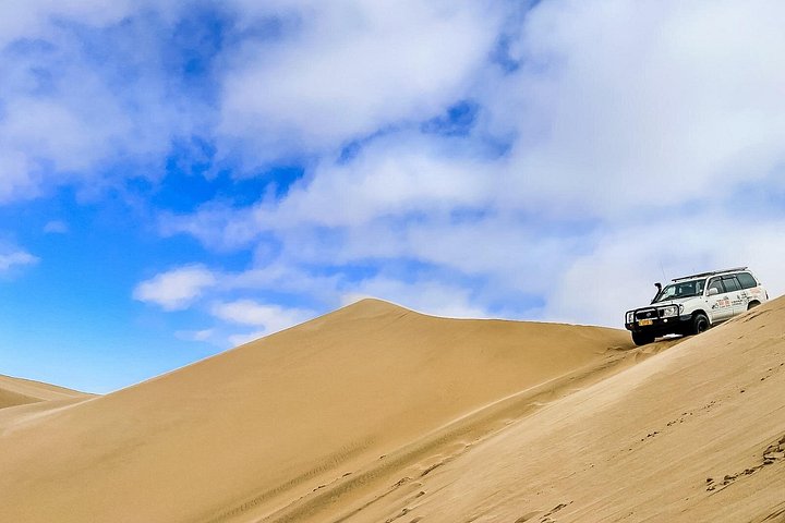 Tour de aventura a Sandwich Harbour, Namibia, con focas, dunas y aves, foto 17 | wizardtrip
