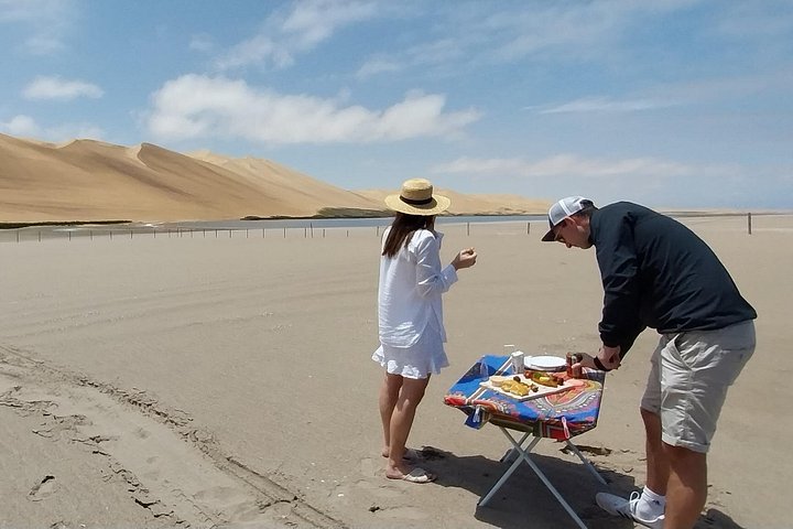 Tour de aventura a Sandwich Harbour, Namibia, con focas, dunas y aves, foto 18 | wizardtrip