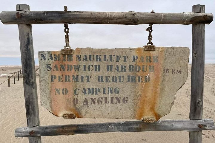 Tour de aventura a Sandwich Harbour, Namibia, con focas, dunas y aves, foto 21 | wizardtrip