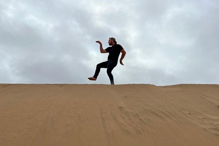 Tour de aventura a Sandwich Harbour, Namibia, con focas, dunas y aves, foto 22 | wizardtrip