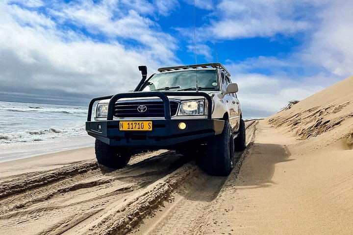 Tour de aventura a Sandwich Harbour, Namibia, con focas, dunas y aves, foto 23 | wizardtrip