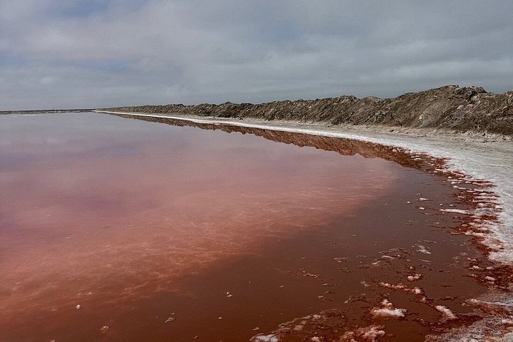 Oplev det dramatiske møde mellem ørkenklitter og hav på en 4x4-tur i Walvis Bay, Namibia, foto 6 | wizardtrip