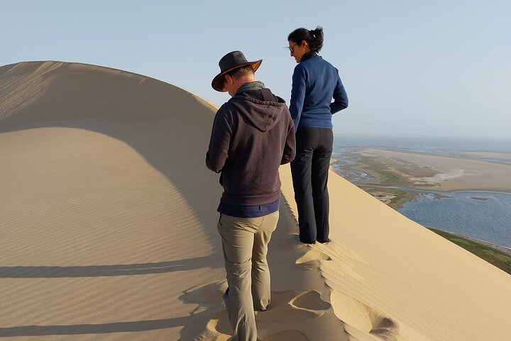 Oplev det dramatiske møde mellem ørkenklitter og hav på en 4x4-tur i Walvis Bay, Namibia, foto 8 | wizardtrip