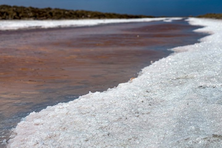 Oplev det dramatiske møde mellem ørkenklitter og hav på en 4x4-tur i Walvis Bay, Namibia, foto 15 | wizardtrip
