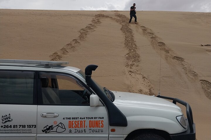 Oplev det dramatiske møde mellem ørkenklitter og hav på en 4x4-tur i Walvis Bay, Namibia, foto 21 | wizardtrip