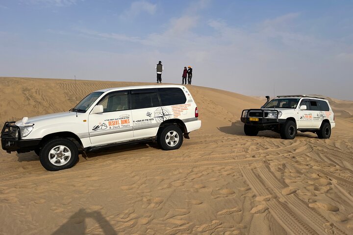 Oplev det dramatiske møde mellem ørkenklitter og hav på en 4x4-tur i Walvis Bay, Namibia, foto 23 | wizardtrip