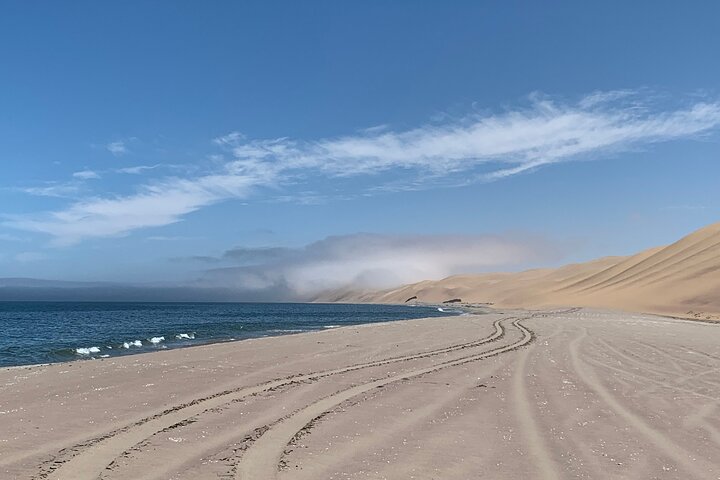 Oplev det dramatiske møde mellem ørkenklitter og hav på en 4x4-tur i Walvis Bay, Namibia, foto 26 | wizardtrip
