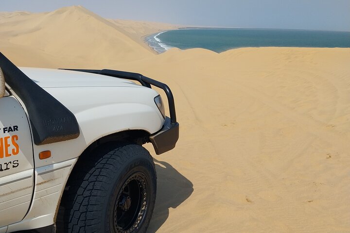 Oplev det dramatiske møde mellem ørkenklitter og hav på en 4x4-tur i Walvis Bay, Namibia, foto 27 | wizardtrip