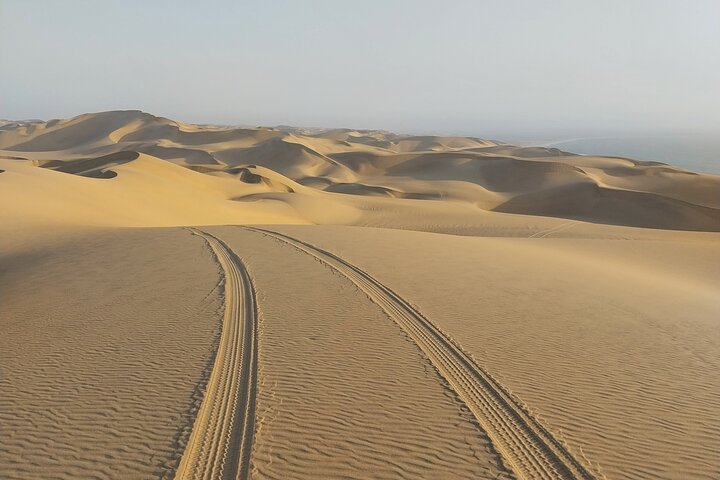 Oplev det dramatiske møde mellem ørkenklitter og hav på en 4x4-tur i Walvis Bay, Namibia, foto 28 | wizardtrip