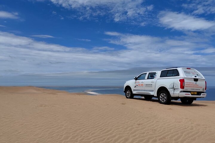 Oplev det dramatiske møde mellem ørkenklitter og hav på en 4x4-tur i Walvis Bay, Namibia, foto 33 | wizardtrip
