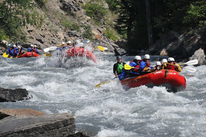 Half-Day Whitewater Rafting in Revelstoke | wizardtrip