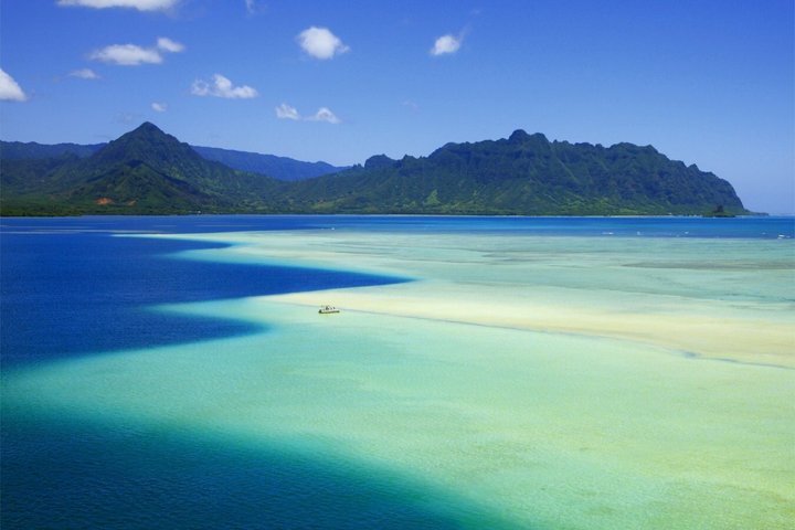 Excursion en snorkeling au Kaneohe Sandbar | wizardtrip