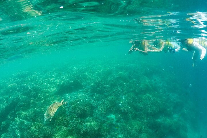 Boottocht naar Kaneohe Sandbar, Oahu, voor snorkelen en paddle boarding, foto 7 | wizardtrip