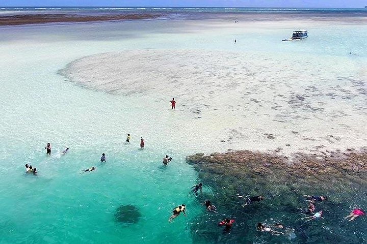 Boottocht naar Kaneohe Sandbar, Oahu, voor snorkelen en paddle boarding, foto 8 | wizardtrip