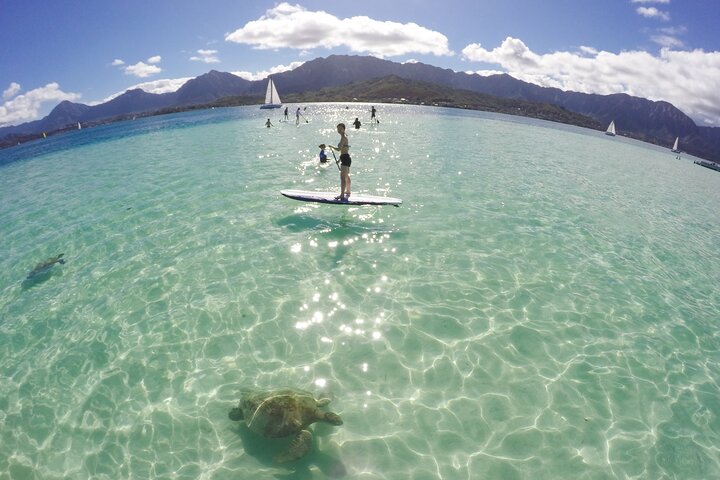Boottocht naar Kaneohe Sandbar, Oahu, voor snorkelen en paddle boarding, foto 11 | wizardtrip