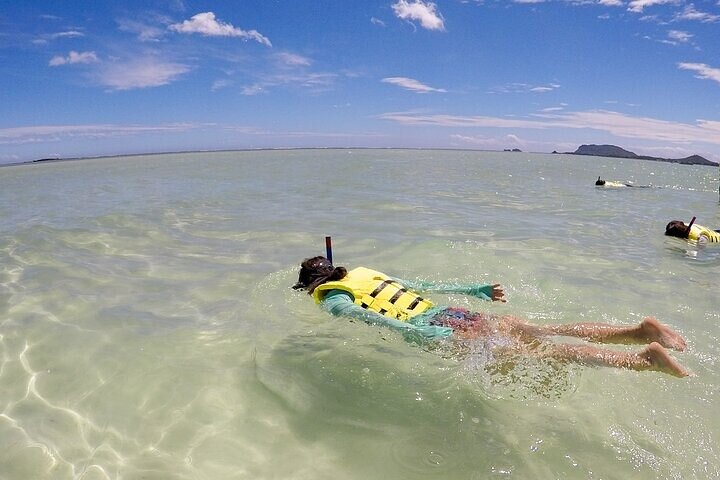 Boottocht naar Kaneohe Sandbar, Oahu, voor snorkelen en paddle boarding, foto 13 | wizardtrip