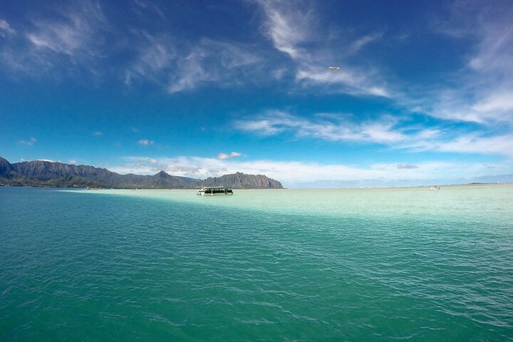 Boottocht naar Kaneohe Sandbar, Oahu, voor snorkelen en paddle boarding, foto 14 | wizardtrip