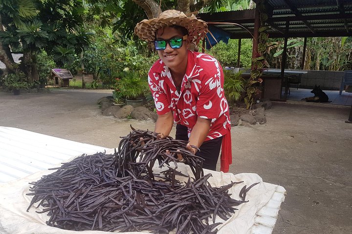 Ervaar een authentiek Polynesisch avontuur met lagunetours, parelboerderijen en vanillevalleibezoeken in Raiatea, foto 6 | wizardtrip