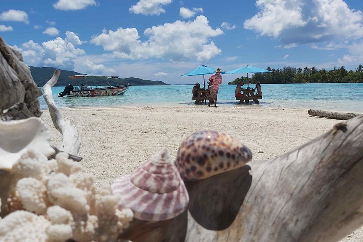 Ervaar een authentiek Polynesisch avontuur met lagunetours, parelboerderijen en vanillevalleibezoeken in Raiatea, foto 16 | wizardtrip