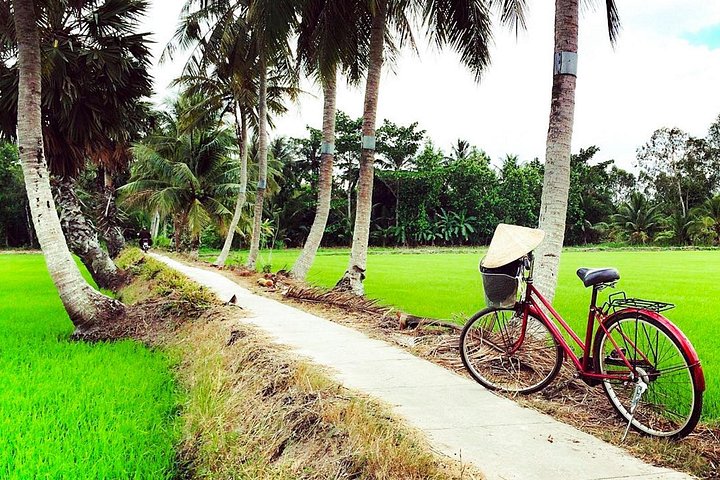 Passeio pelo Delta do Mekong a partir de Ho Chi Minh City com passeios de barco, vida local e templos, foto 17 | wizardtrip