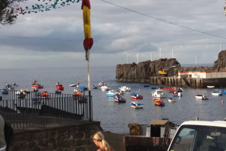 Explore a deslumbrante costa oeste da Madeira, incluindo a Floresta do Fanal e as piscinas naturais de Porto Moniz, num passeio cénico em pequeno grupo, foto 8 | wizardtrip