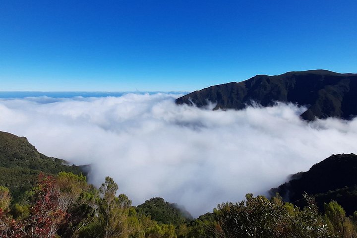 Explore a deslumbrante costa oeste da Madeira, incluindo a Floresta do Fanal e as piscinas naturais de Porto Moniz, num passeio cénico em pequeno grupo, foto 16 | wizardtrip