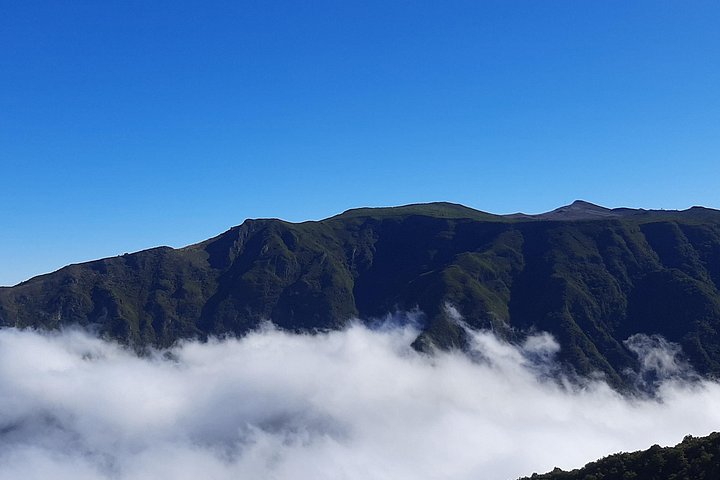 Explore a deslumbrante costa oeste da Madeira, incluindo a Floresta do Fanal e as piscinas naturais de Porto Moniz, num passeio cénico em pequeno grupo, foto 17 | wizardtrip