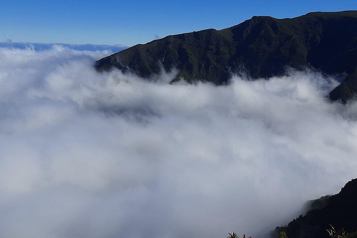 Explore a deslumbrante costa oeste da Madeira, incluindo a Floresta do Fanal e as piscinas naturais de Porto Moniz, num passeio cénico em pequeno grupo, foto 18 | wizardtrip