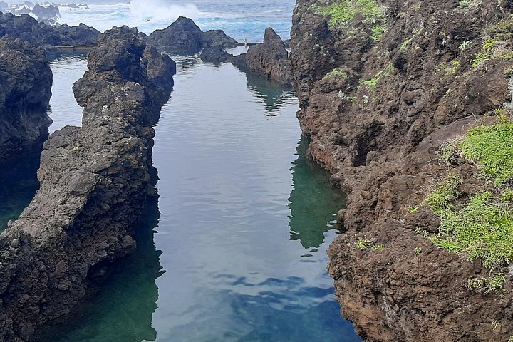 Explore a deslumbrante costa oeste da Madeira, incluindo a Floresta do Fanal e as piscinas naturais de Porto Moniz, num passeio cénico em pequeno grupo, foto 21 | wizardtrip