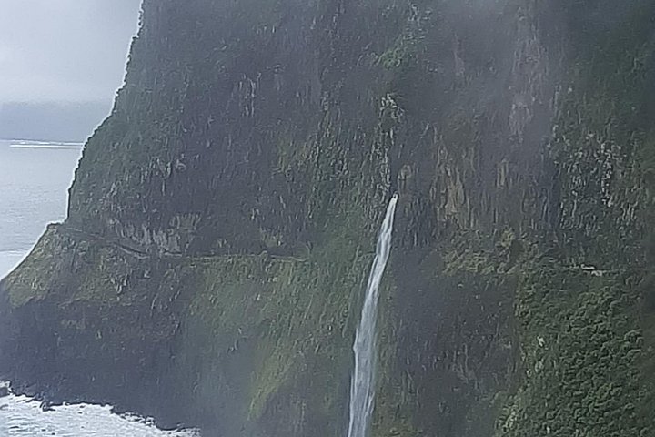 Explore a deslumbrante costa oeste da Madeira, incluindo a Floresta do Fanal e as piscinas naturais de Porto Moniz, num passeio cénico em pequeno grupo, foto 28 | wizardtrip