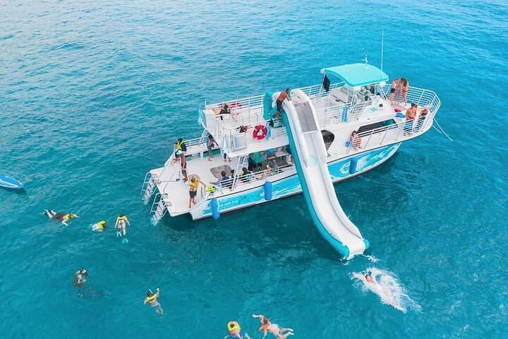 Oahu Dolphin and Snorkel Tour with Waikiki Pickup & Lunch | wizardtrip